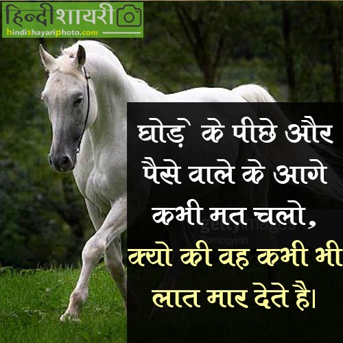 Best quotes in hindi - घोड़े के पीछे कभी मत चलो